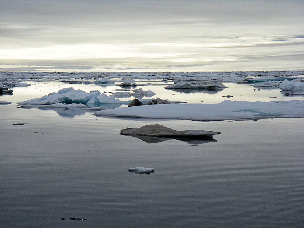 Bering Sea